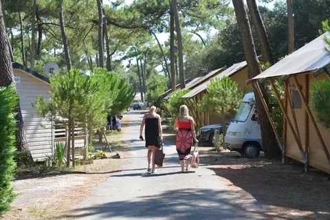 Les Pins D Oléron in Le Grand-Village-Plage, foto 12
