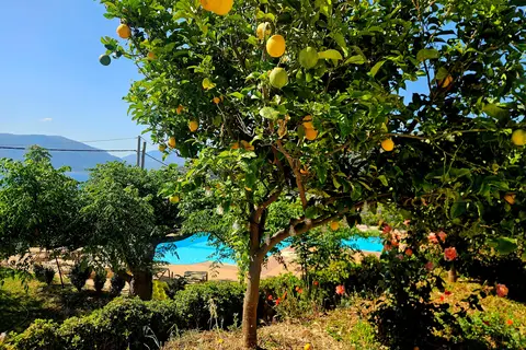 Appartementen Fotini in Δημοτική Ενότητα Πυλαρέων — foto 17
