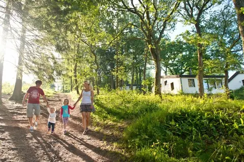 Wirfttal in Stadtkyll — foto 27
