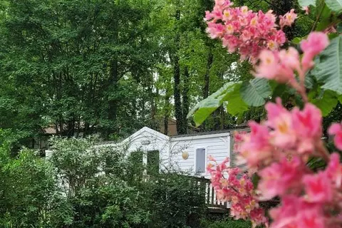 Camping Domaine Aramis foto 25