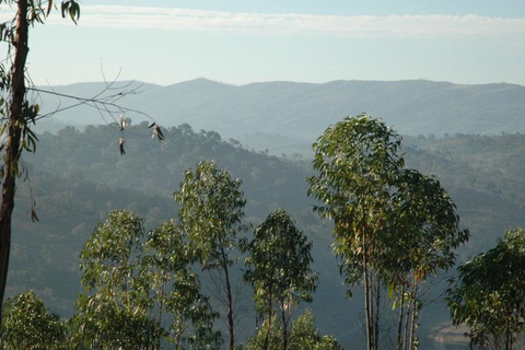 Monte do Casarão foto 6