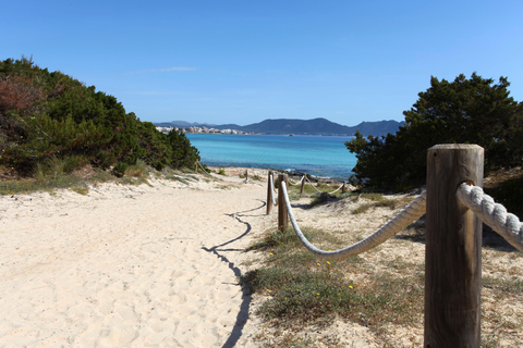 Hotel Iberostar Cala Millor - adults only foto 17