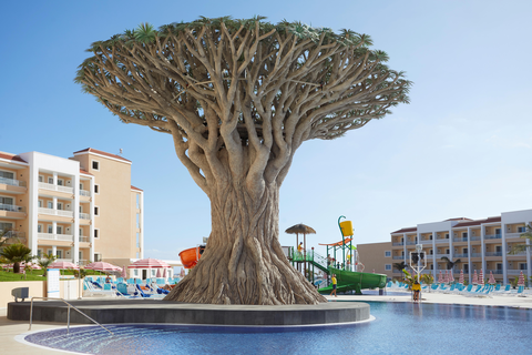 Bahia Principe Fantasia Tenerife foto 30