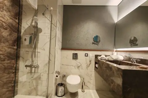Istanbul Sabiha Gökcen Airport Hotel in Fatih, foto 14