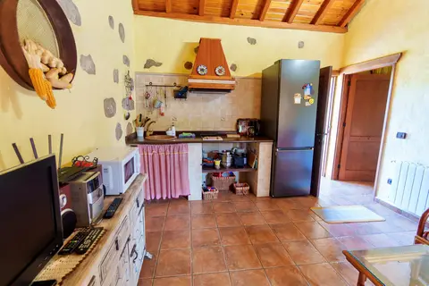 Finca Natura Canaria in Moya, foto 15