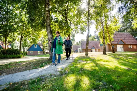 Vakantiepark Dwergter Sand in Molbergen — foto 11