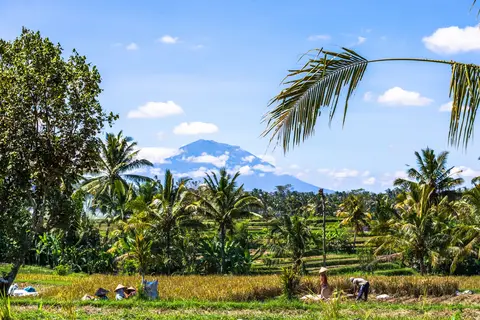 Bijzonder Bali in Surakarta