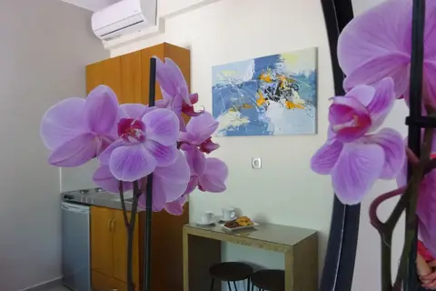 Fly & Go Dokos Studio in Parga — foto 11