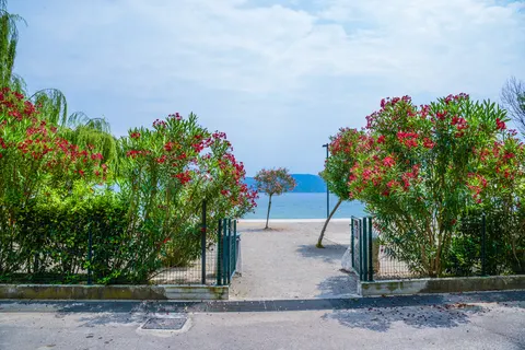 Camping Toscolano foto 12