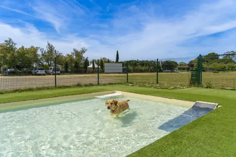 Camping Castelló Mar foto 6