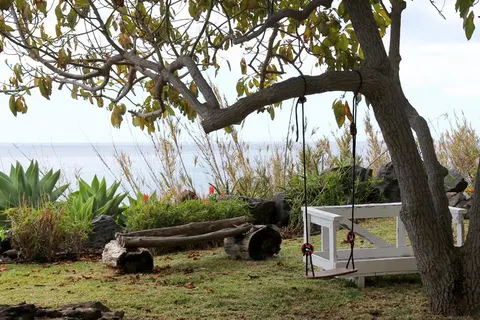 Fajã dos Padres in Câmara de Lobos — foto 19