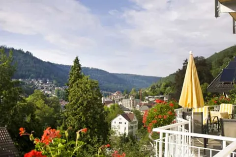 Hotel Rothfuss foto 40