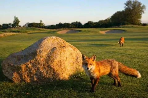 Schloss Krugsdorf Hotel & Golf foto 47