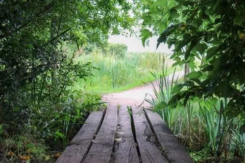 Fruitpark Hotel en Spa foto 32