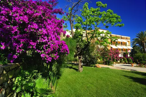 Alberi del Paradiso in Cefalu — foto 2