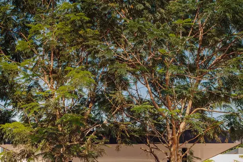Mandarin Oriental Desaru Coast in Bandar Penawar — foto 2