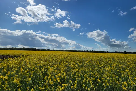 Camping Ferme Pédagogique De Prunay foto 28