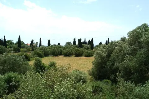 Casa De Rosa Apartments in Σβορωνάτα — foto 17