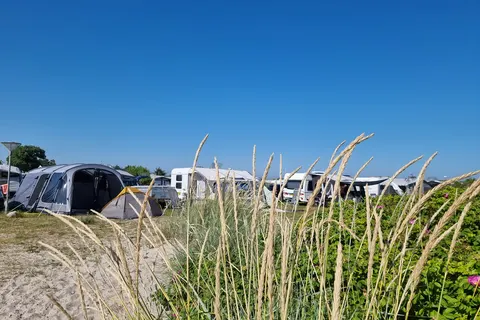 Camping Grenen Strand foto 20
