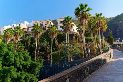 Ontdek Tenerife vanuit Puerto de la Cruz foto 3