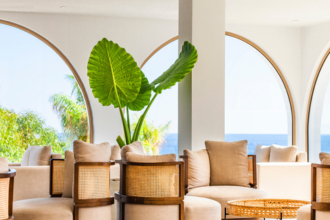 Hotel Blue Sea Island foto 4