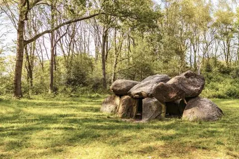 Park De Zeegser Duinen foto 17