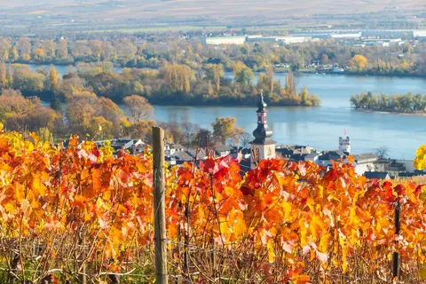 Oud & Nieuwcruise Romantische Rijn foto 14