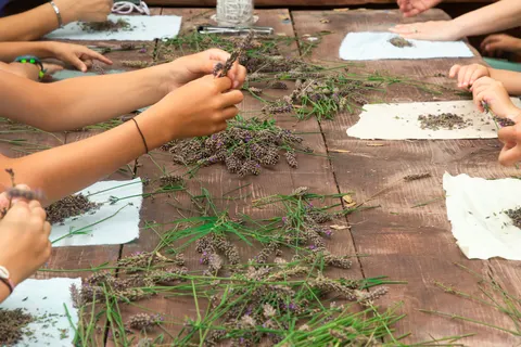 Camping Domaine De Sévenier & Spa foto 20