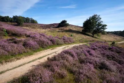 Veluwe Hotel Stakenberg foto 24