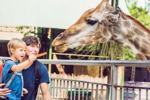 Mercure Hotel Duisburg City foto 16