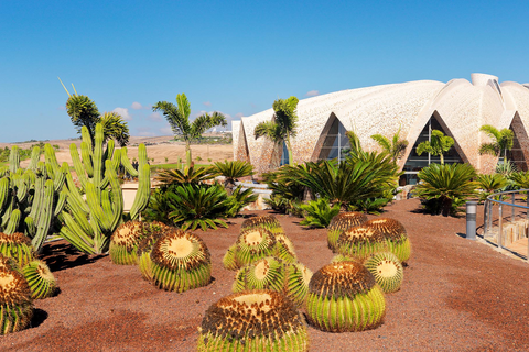 Hotel H10 Playa Meloneras Horizons Collection foto 3