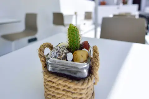 Kalidon Beach Hotel in Δημοτική Ενότητα Βαθέος — foto 27
