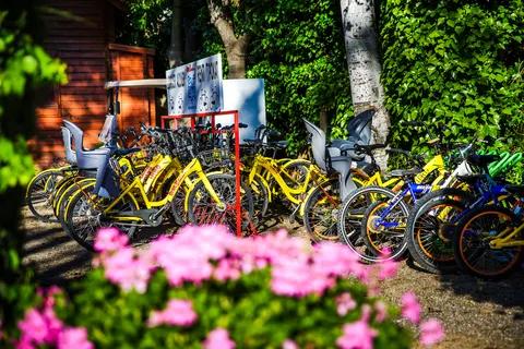 Camping La Llosa foto 28