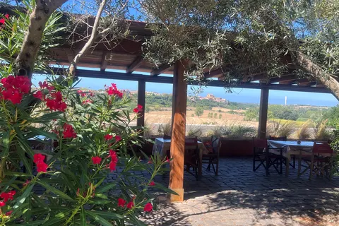 Tenuta Saracone in Montalto di Castro — foto 8