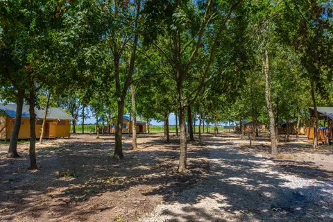 Agriturismo Tenuta Regina foto 27