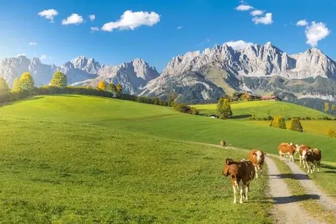 Hotel Apartments Alpenrose foto 30