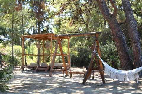 Hotel Cook's Club Ialyssos - adults only foto 18