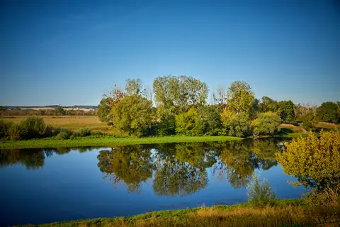 Le Parc Des Allais in Trogues — foto 24