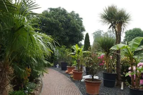 Hotel Krasemann foto 11