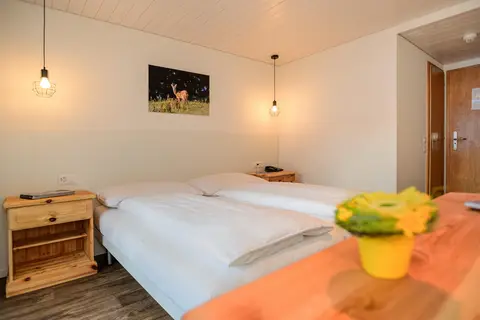 Hotel Jungfrau Lodge in Grindelwald — foto 15