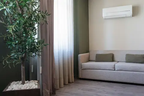 Olive Nature in Porto, foto 24