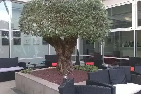 Hotel Carpi in Carpi — foto 8