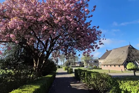 Grenzeloos Slapen-Eten-Beleven foto 30
