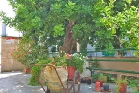 Villa Real Club Apartments in Andratx — foto 29