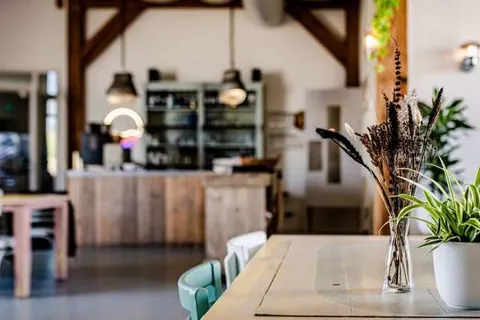 TinyParks Cast Away foto 5