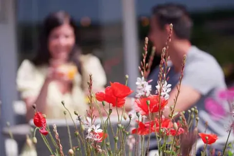 Landgoed Hotel Tatenhove Texel foto 36