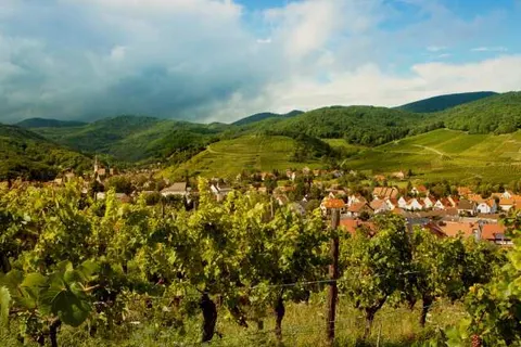 All in Alexain Hotel foto 17