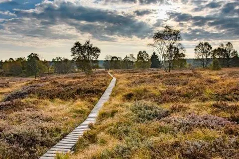Van der Valk Congres Hotel Mons foto 31