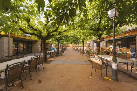 Taïga Bassegoda Park foto 7