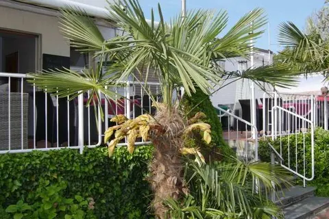 Hotel Krasemann foto 10